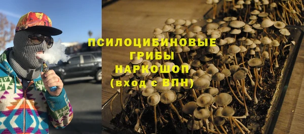 кокаин Белокуриха