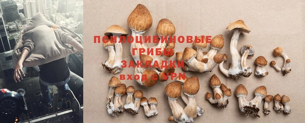 кокаин Белокуриха