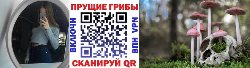 Галлюциногенные грибы Psilocybe  купить  цена  Чайковский 